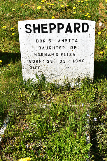 Doris Anetta Sheppard