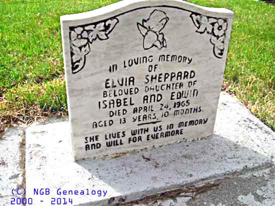 Elvia Sheppard