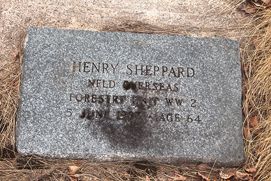 Henry Joseph & Isabella Sheppard