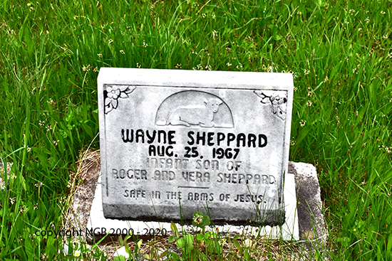 Wayne Sheppard