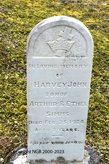 Harvey John Simms