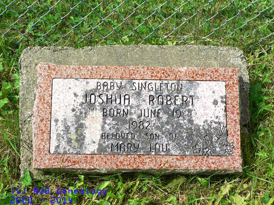 Joshua Robert Singleton