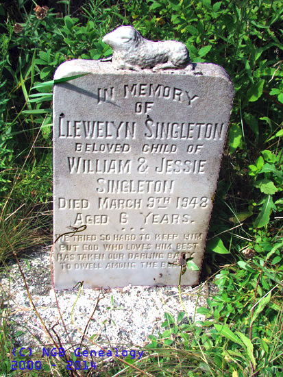 Llewellyn Singleton