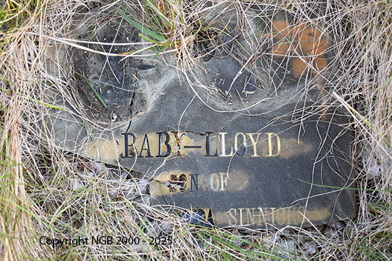 Baby Lloyd Sinnicks