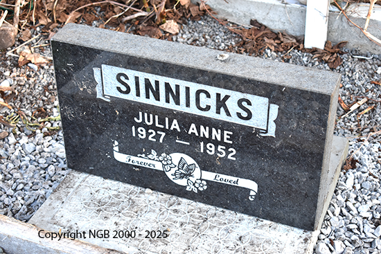 Julia Ann sinnicks