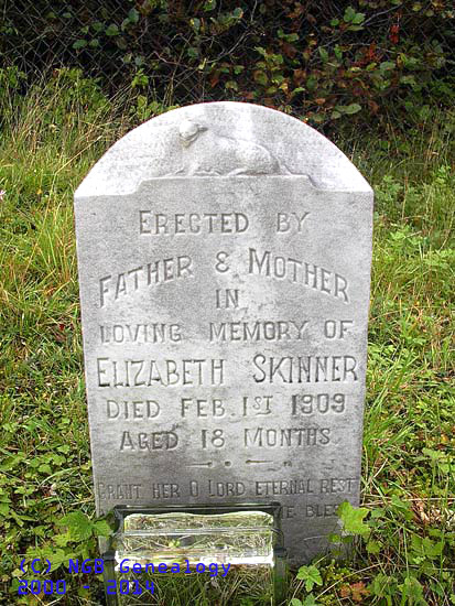 Elizabeth Skinner