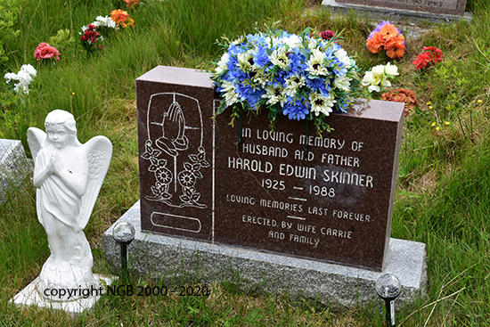 Harold Edwin Skinner