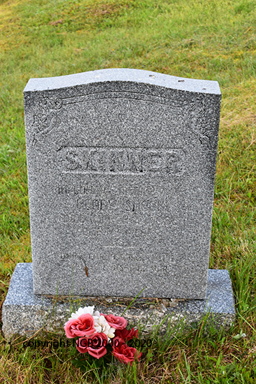Henry Snook Skinner