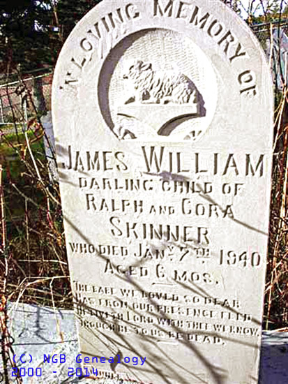 James William Skinner