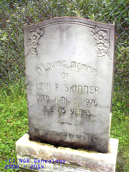 Levi F. Skinner