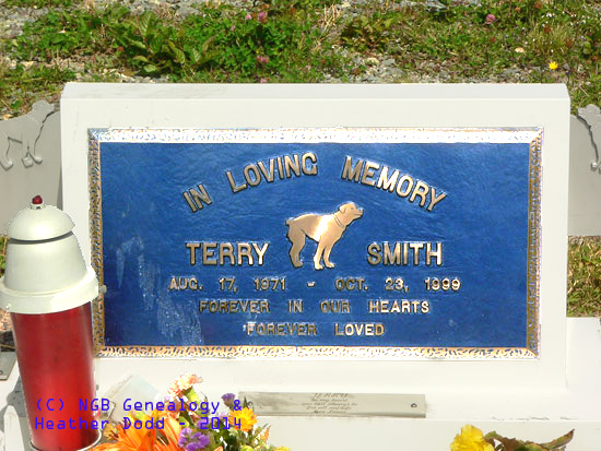 Terry Smith