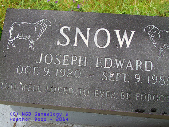 Joseph Edward Snow