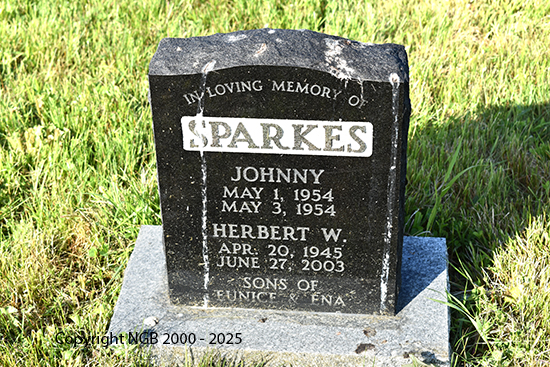 Johnny Sparkes