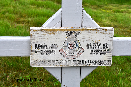 Annie Violet Pelley-Spencer