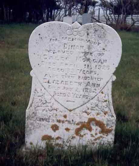 Dinah & Elizabeth Morgan