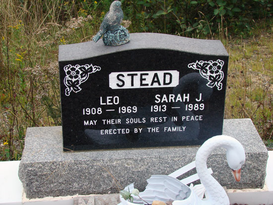 Leo and Sarah Stead