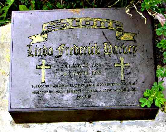 Frederick and Linda Stone