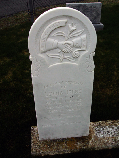 Lavina Irene Strange