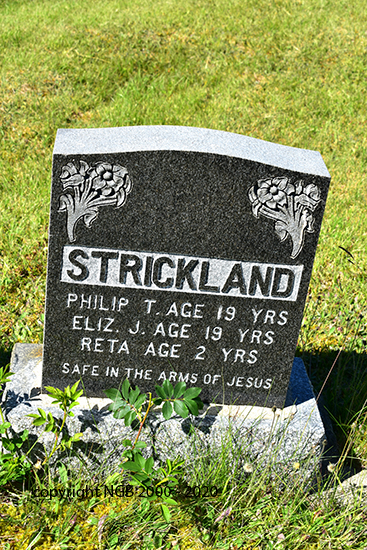 Philip T., Eliz A. & Reta Strickland