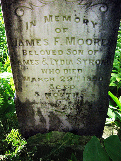 James F. Moore