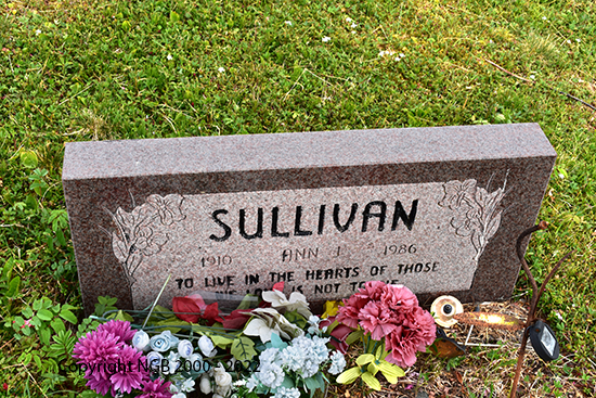 Ann J. Sullivan