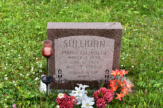 Mary Elizabeth Sullivan