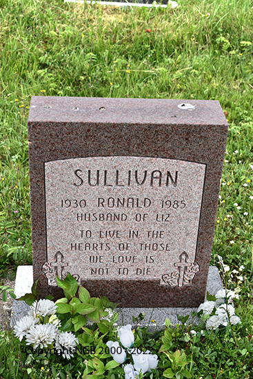 Ronald Sullivan