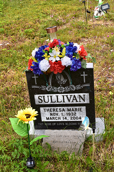 Theresa Marie Sullivan 