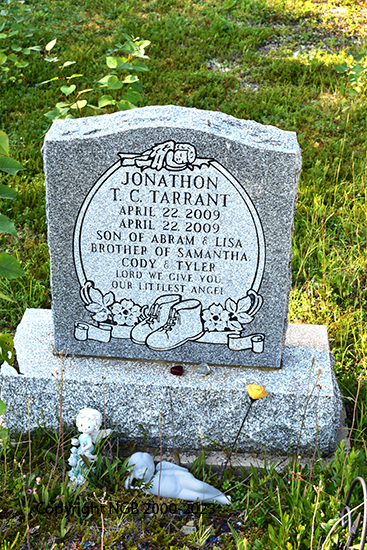 Jonathon T. C. Tarrant