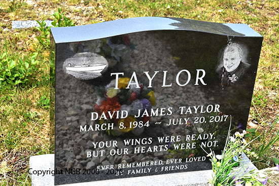 David James Taylor