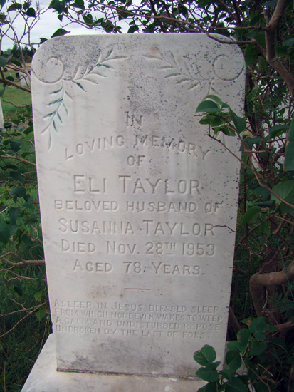 Eli Taylor