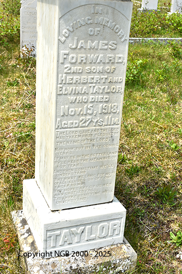 James Forward Taylor
