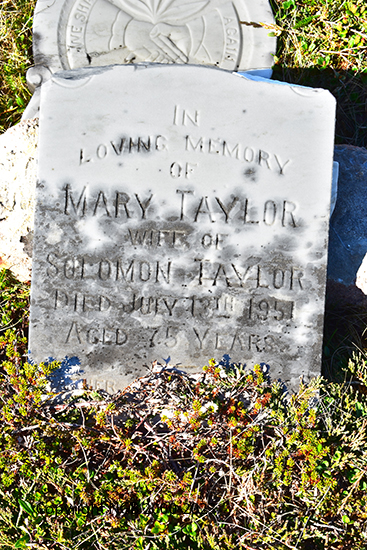 Mary Taylor