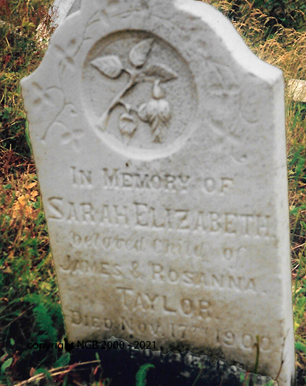 Sarah Elizabeth Taylor