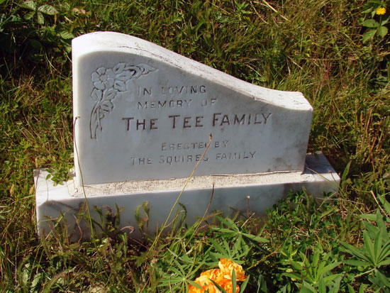 Tee Family