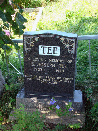 S. Joseph Tee