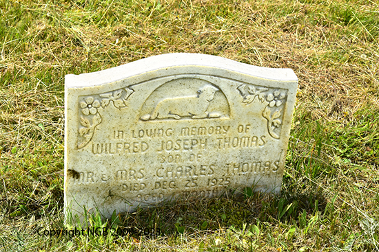 Wilfred Joseph Thomas