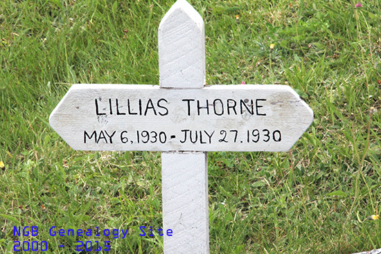 Lillias Thorne