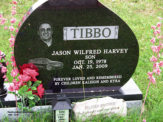 Jason Wilfred Harvey Tibbo