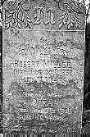 Robert Miller