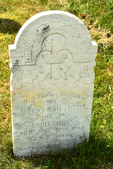 Mary Ann Toms