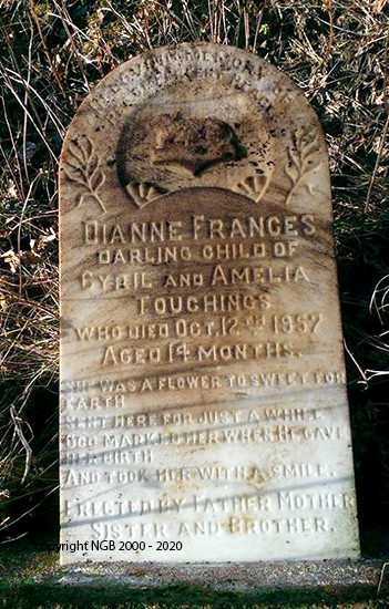 Dianne Frances Touchings