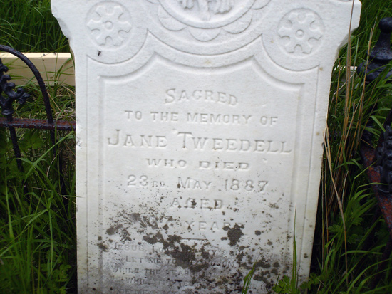 Jane Tweedell
