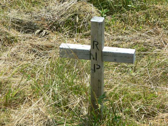 Unknown Wooden Cross