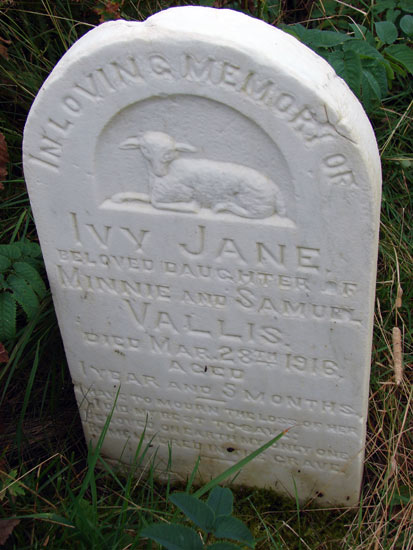 Ivy Jane Vallis