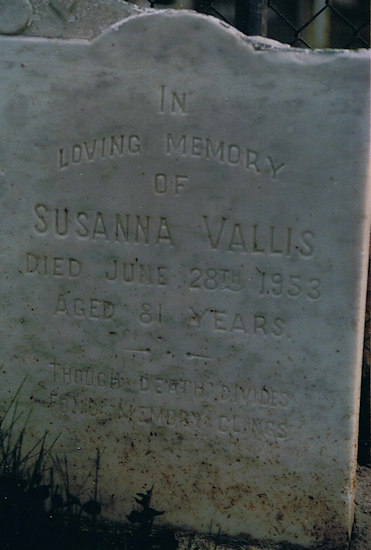 Susanna Vallis