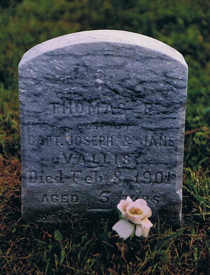 Thomas P. Vallis