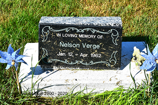 Nelson Verge