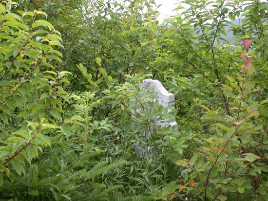 View #1 of Cemetery