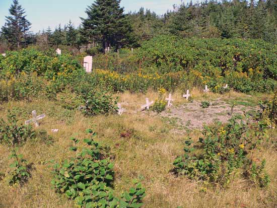 View of Cemetery #2